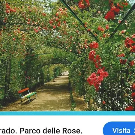 La Perla Di Maria Grado