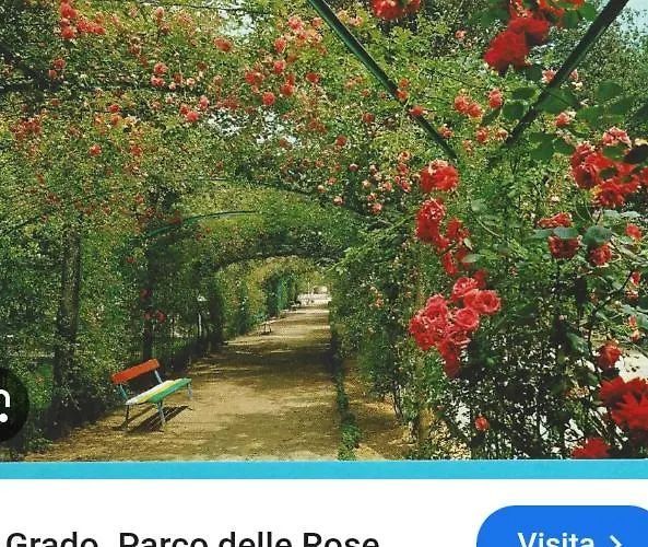 La Perla Di Maria Grado